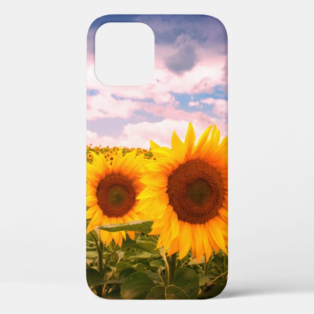 Beautiful summer sunflowers  Case-Mate iPhone case (Back)