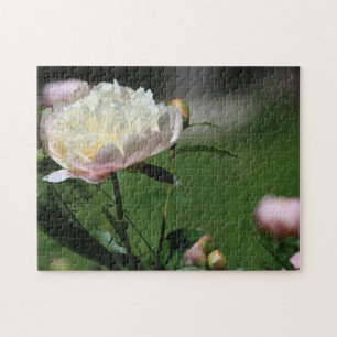 Beautiful Summertime White and Pink Peony Flowers Jigsaw Puzzle