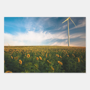 beautiful sun flowers field with cloudy blue sky a wrapping paper sheet