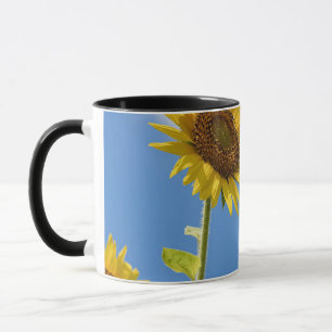 beautiful sun flowers with cloudy blue sky mug