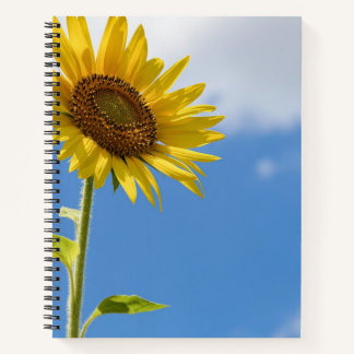 beautiful sun flowers with cloudy blue sky notebook