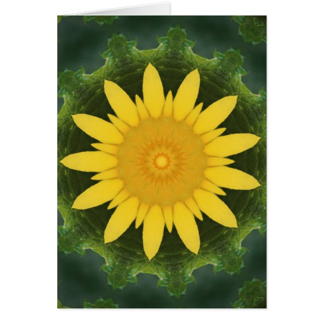 Beautiful sunflower (Front)