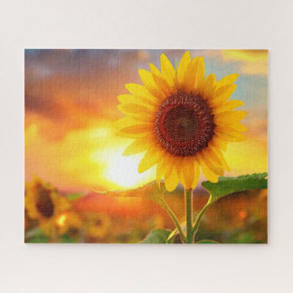 beautiful sunflower at sunset jigsaw puzzle