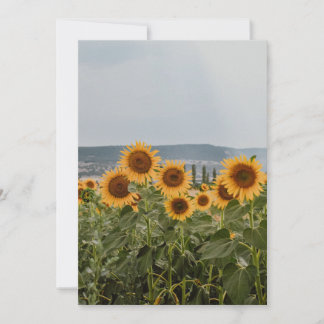 Beautiful Sunflower Field Nature Aesthetic Photogr Holiday Card