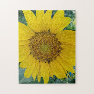 Beautiful Sunflower Photo Jigsaw Puzzle