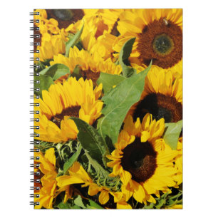 Beautiful Sunflower Photo Notebook (80 Pages B&W)