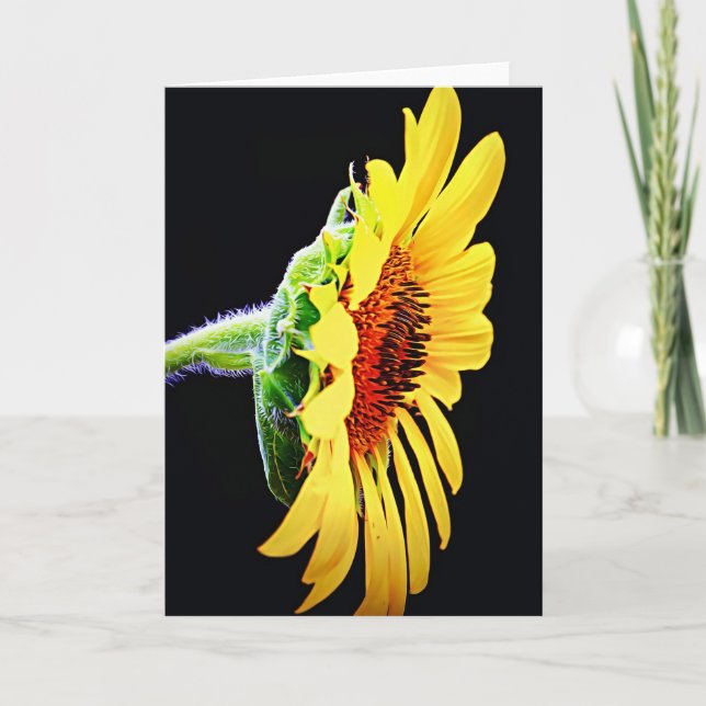 Beautiful Sunflower Profile Shining Flower Card (Front)