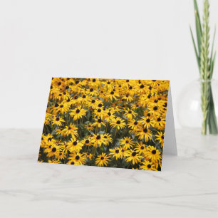Beautiful Sunflowers, Lots and Lots of Black Eyed Thank You Card