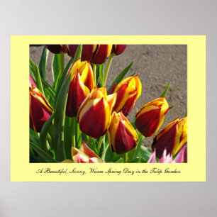 Beautiful Sunny Warm Spring Day art Tulip Garden Poster