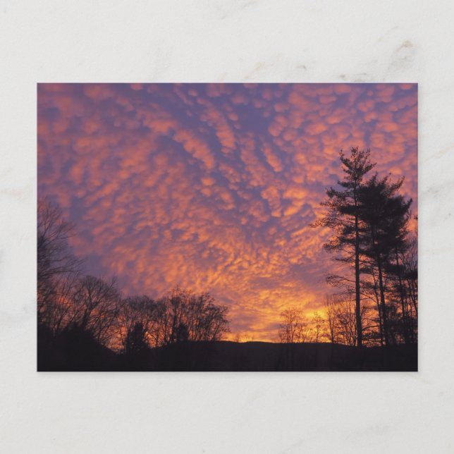 Beautiful Sunrise Sky with Clouds Photo Postcard (Front)