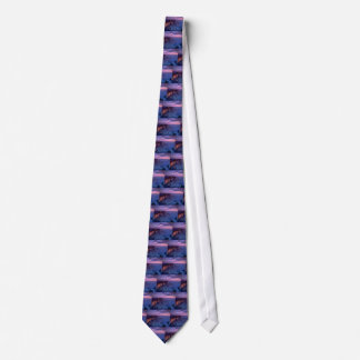 Beautiful Sunset: Grand Canyon, Arizona Tie