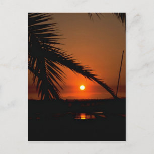 Beautiful Sunset: Mission Bay, San Diego, Californ Postcard