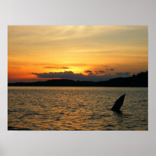 Beautiful Sunset Poster