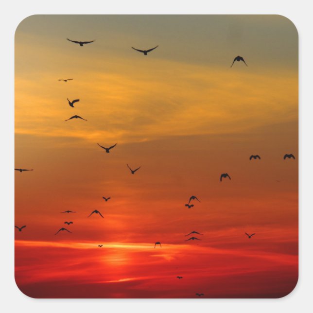 Beautiful Sunset Scenic Landscape Photographic Art Square Sticker (Front)