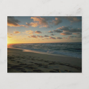 Beautiful Sunset: Sunset Beach, Oahu, Hawaii Postcard