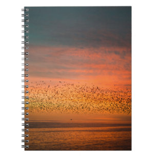 BEAUTIFUL SUNSET WITH BIRDS NOTEBOOK
