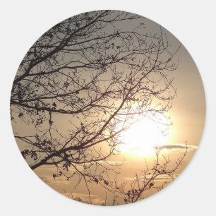 Beautiful sunset with branchs classic round sticker