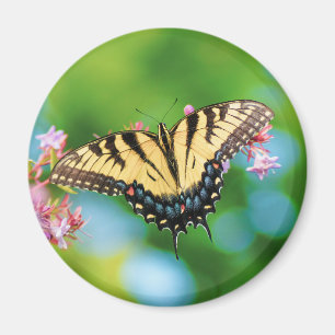 Beautiful Swallowtail butterfly on pretty flowers Magnet
