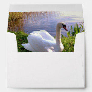 Beautiful Swan Birds Animals Envelope