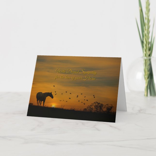Beautiful Sympathy Card for the Loss of a Horse (Front)