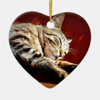 Beautiful tabby cat ceramic tree decoration