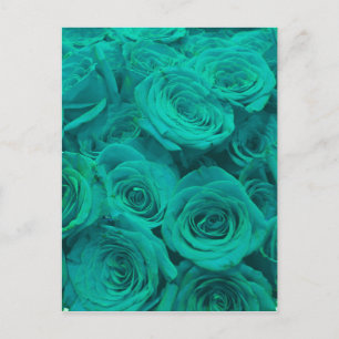 Beautiful teal green roses teal flowers postcard