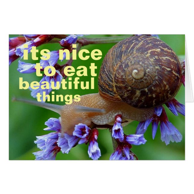 beautiful things (Front Horizontal)