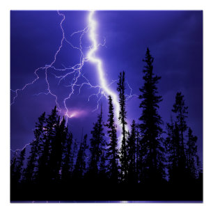 beautiful thunder over the forest poster