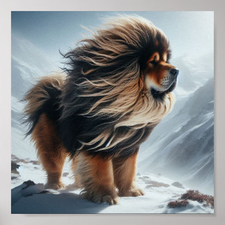 beautiful Tibetan Mastiff Poster