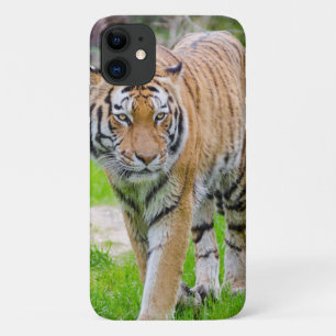 Beautiful Tiger Case-Mate iPhone Case