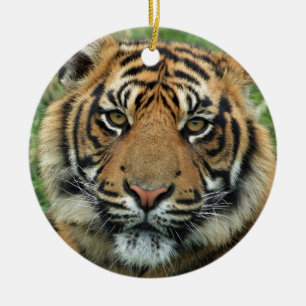 Beautiful Tiger Ceramic Tree Decoration