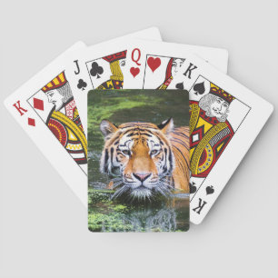 Beautiful Tiger Deck of Playing Cards