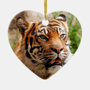 Beautiful tiger face ceramic tree decoration