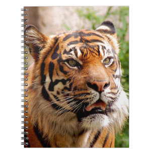 Beautiful tiger face spiral notebook
