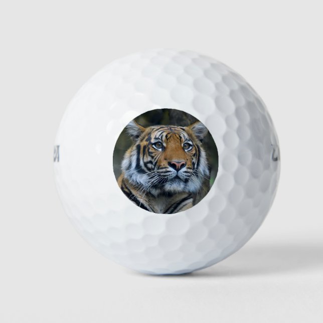 Beautiful Tiger Golf Balls (Front)