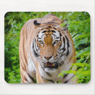 Beautiful Tiger Mouse Mat