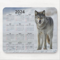 Beautiful Timber Wolf 2024 Calendar