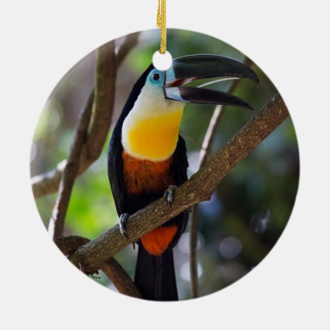 Beautiful toucan bird in a tree nature scenery ceramic tree decoration (Back)
