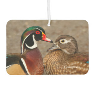 Beautiful Touching Moment Between Wood Ducks Car Air Freshener