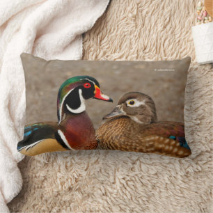 Beautiful Touching Moment Between Wood Ducks Lumbar Cushion