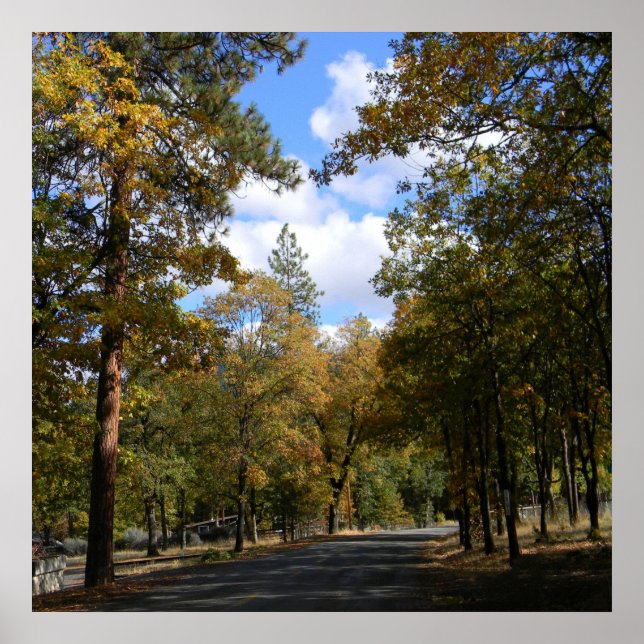 Beautiful town.. poster (Front)