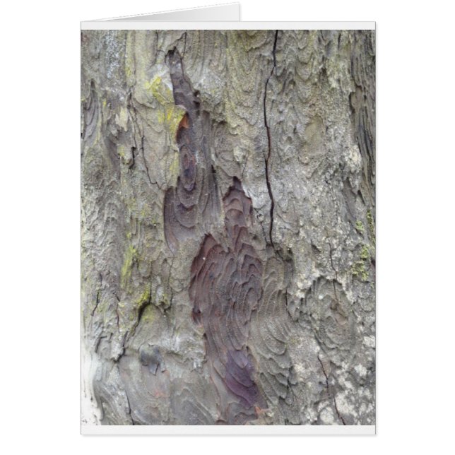 Beautiful Tree (Front)