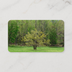Beautiful Tree Business Cards