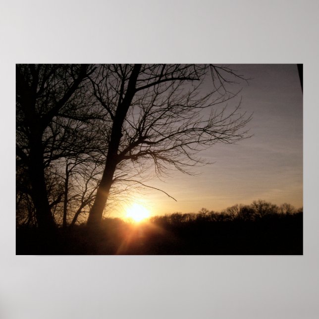 Beautiful Tree Sunset Landscape Photo  Poster (Front)