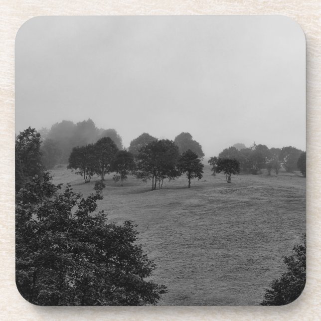 Beautiful trees and nature in fog coaster (Front)