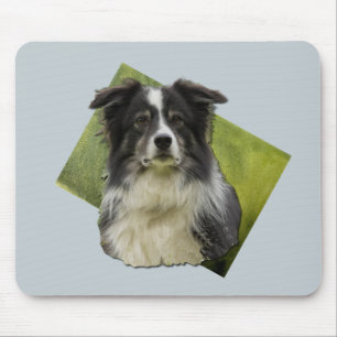 Beautiful Tri Coloured Border Collie on Green Art Mouse Pad