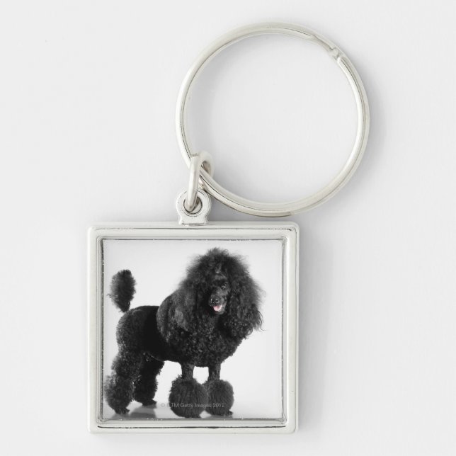 Beautiful, trimmed, black, complete poodle body key ring (Front)