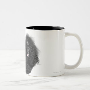 Beautiful, trimmed, black, complete poodle body Two-Tone coffee mug