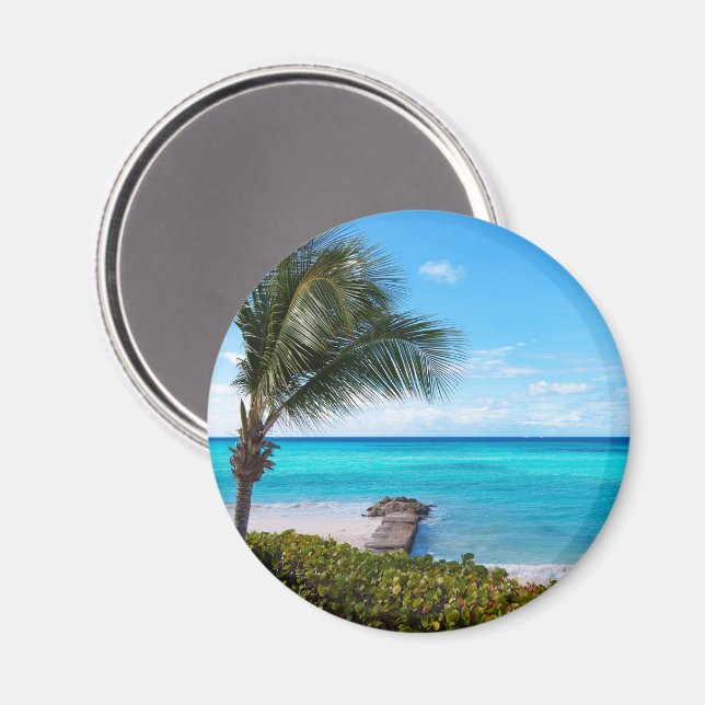 Beautiful Tropical Beach Breezy Palm Tree Magnet (Front/Back)