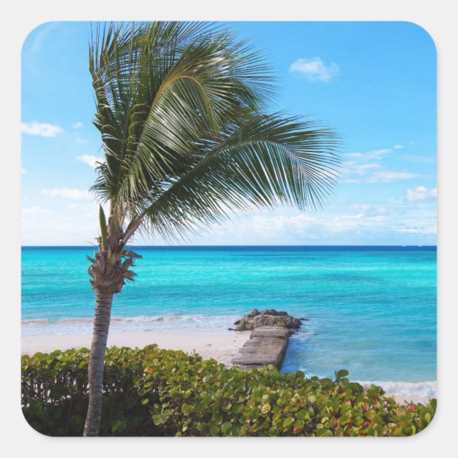 Beautiful Tropical Beach Breezy Palm Tree Square Sticker (Front)